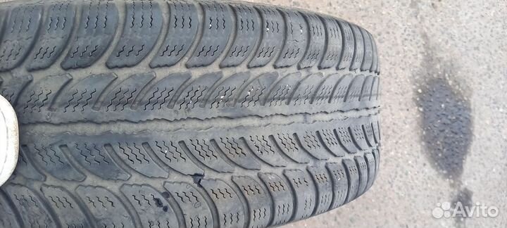 Sava Eskimo S3+ 205/55 R16