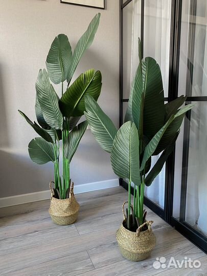 Искусственная банановая пальма