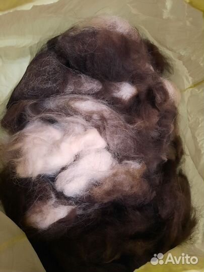 Собачья шерсть