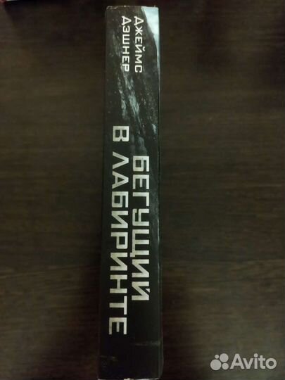 Бегущий в лабиринте