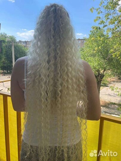 Афрохвост локоны