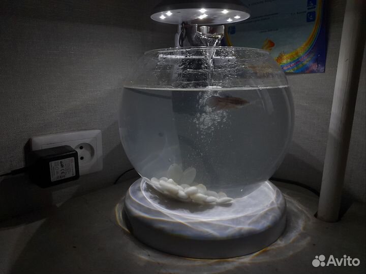 Аквариум Tetra cascade globe