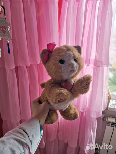 Плюшевый медведь, игрушки