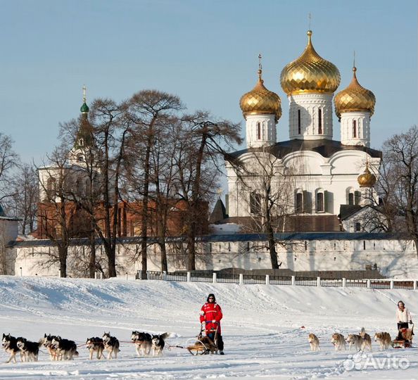 Программа с катанием на хаски