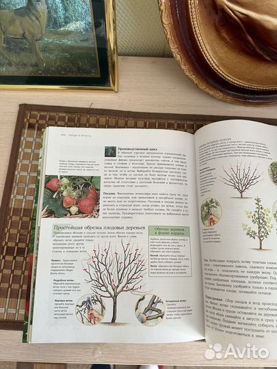 Пособие по озеленению участка