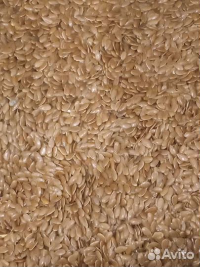 Кунжутное сыродавленное масло