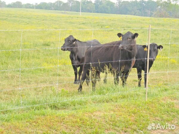 Электро-пастух на 6 Джоулей