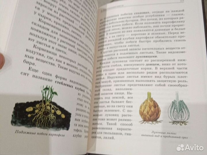 Ботаника 5 класс (ркш)