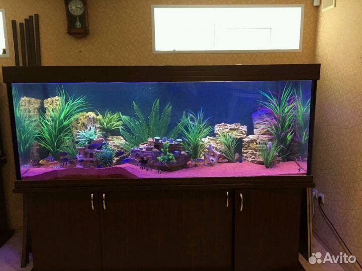 Изготовление/Установка/Декорирование/Обслуживание