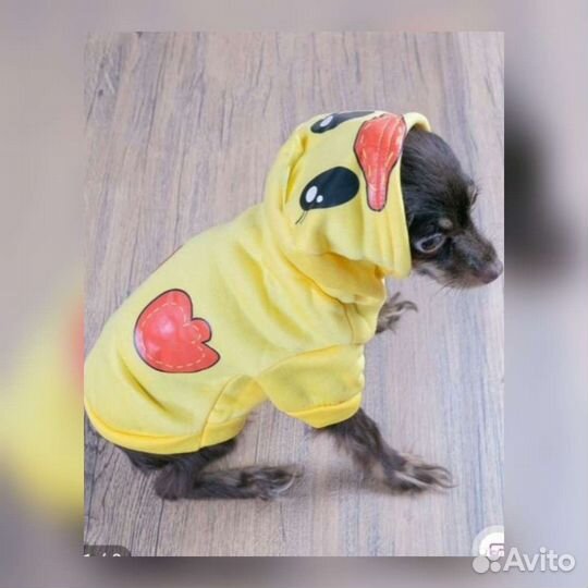 Толстовка для мелкой собаки или кошки