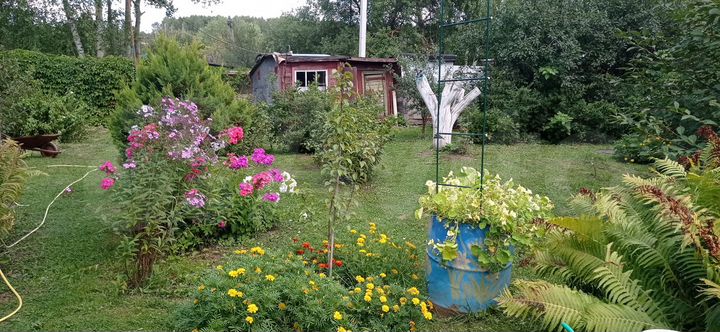 Участок 6,2 сот. (СНТ, ДНП)