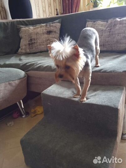 Лесенка для животных