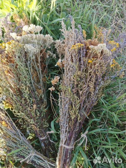 Травяные веники, запарки для бани