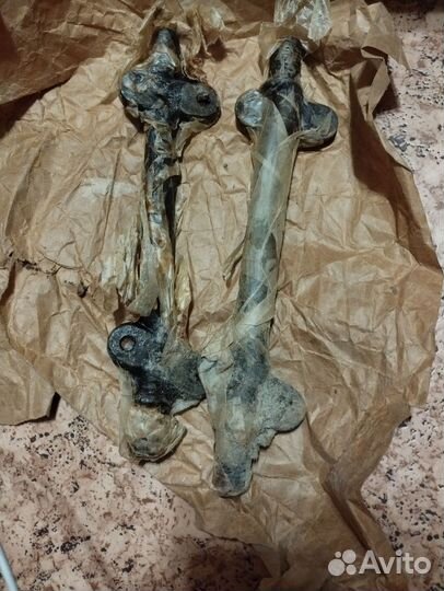 Ось рычага подвески газ