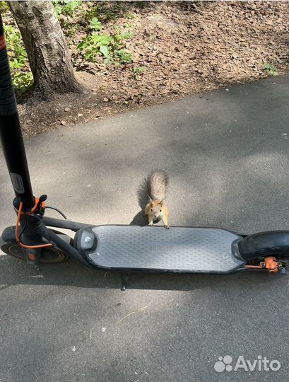 Электросамокат ninebot kickscooter f40