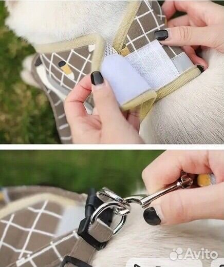 Шлейка жилет для кошки для собаки с поводком S