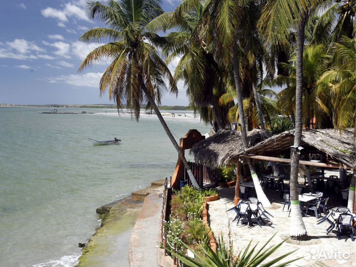 Поездка на Margarity 7 нч