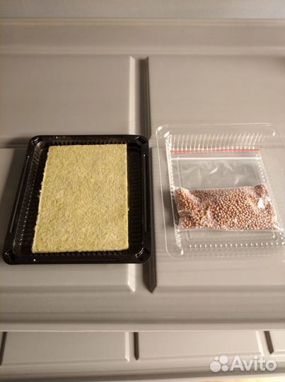 Семена для микрозелени