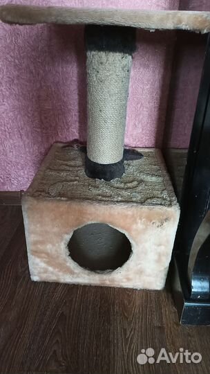 Домик когтеточка и лежанка для котёнка