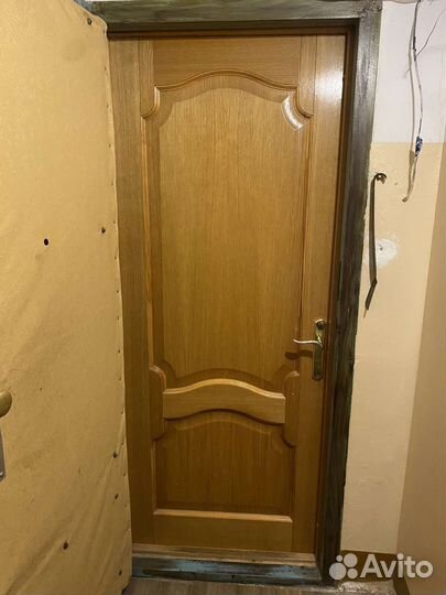 Двери деревянные (2 шт)