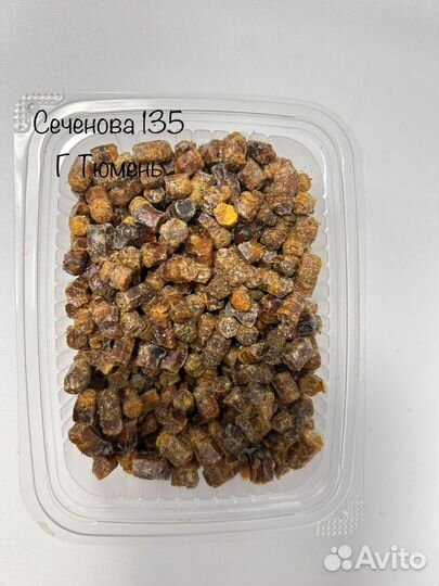 Перга пчелиная