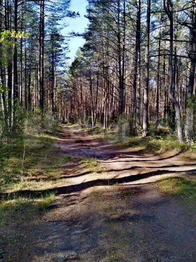 Участок 23,7 сот. (личное подсобное хозяйство (лпх))