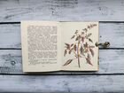 Винтажная книга с ботаническими иллюстрациями 1982 объявление продам