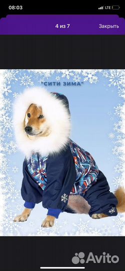 Комбез зиний для собак пелуиз пород