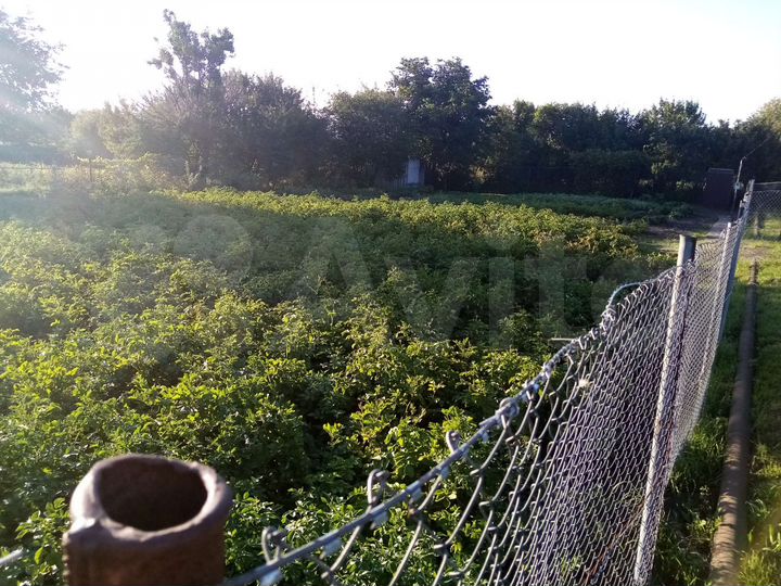 Дача 10 м² на участке 8 сот.