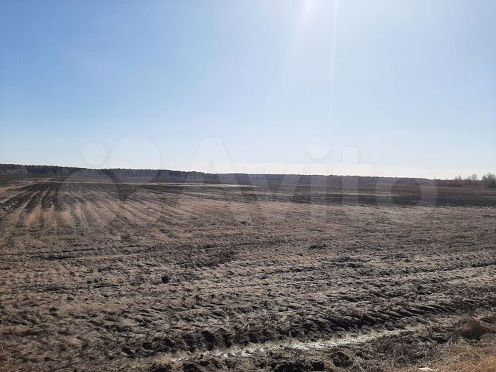 Участок 3,5 га (СНТ, ДНП)