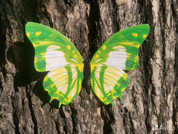Магниты Бабочки
