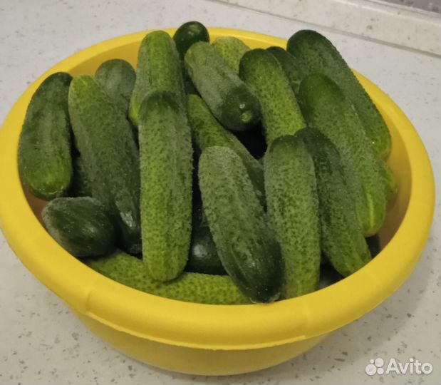 Огурцы свежие