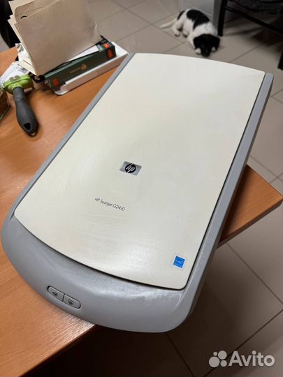 Сканер HP g2410
