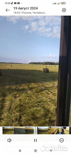 Продам сено в рулонах