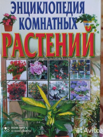Энциклопедия комнатных растений