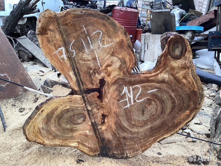 Спилы ореха, карагача, клена