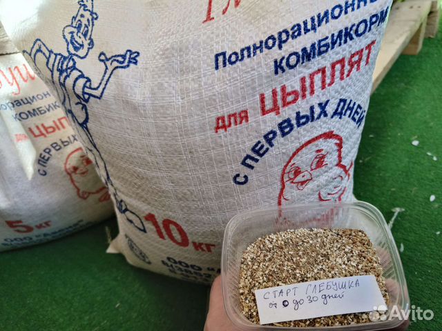 Старт для цыплят от 0 дней