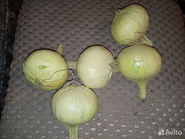 Искусственные луковицы 5 шт