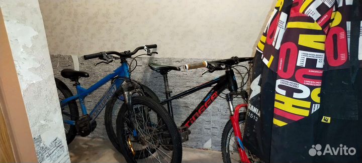 Stinger magnet pro 24