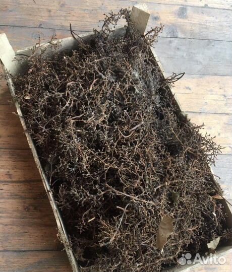 Ящик с виноградными гребнями