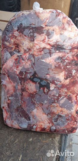 Говядина на корм