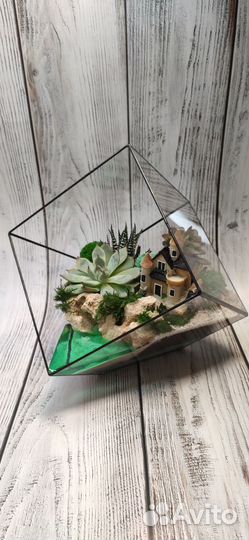 Флорариум, цветы, подарок