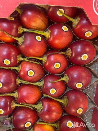 Тамарильо фрукт свежий