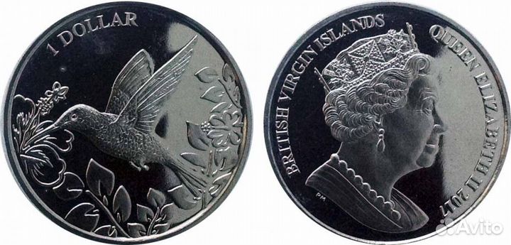 Виргинские острова - колибри