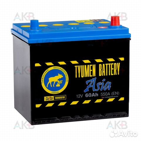 Аккумулятор автомобильный Tyumen Battery Asia 60 А