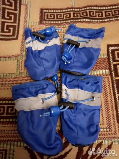 Носили не долго выросли