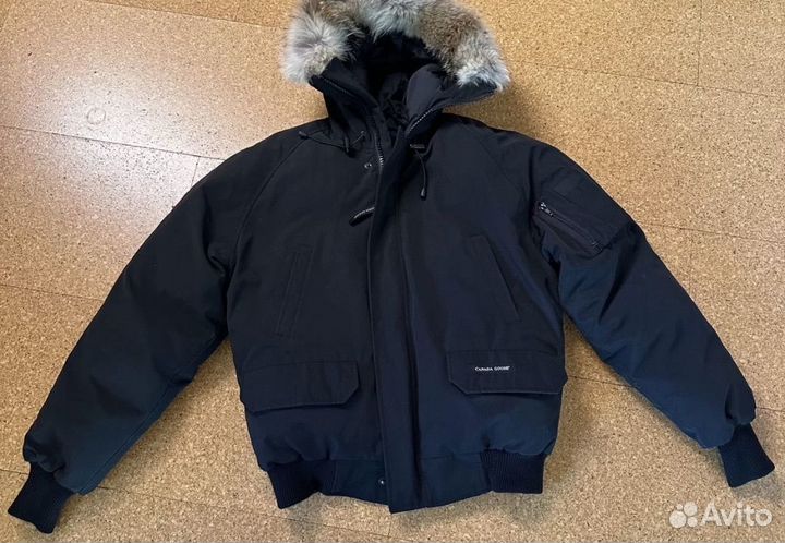 Canada goose chilliwack bomber
