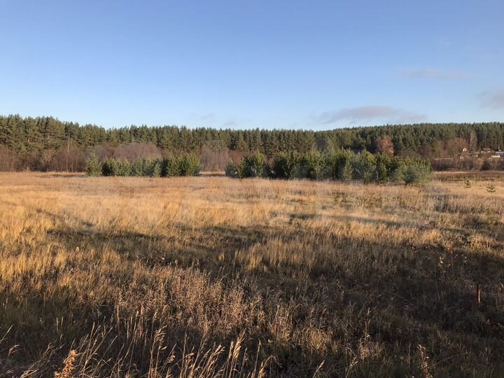 Участок 1,6 га (СНТ, ДНП)