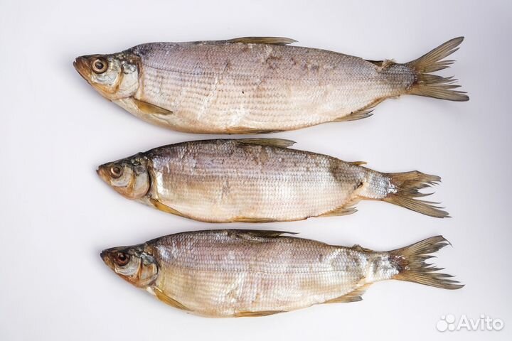 Вяленая рыба