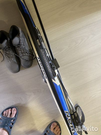 Беговые лыжи